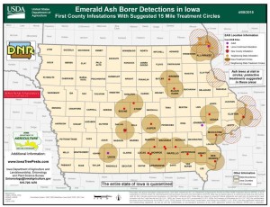 Twenty-one Iowa counties have now confirmed the presence of Emerald Ash Borers. Dallas County's is the third spotting this year. Arborists consider the pest "one of the most destructive tree pests ever seen in North America."