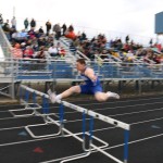 IMG_0384 bluejay hurdles