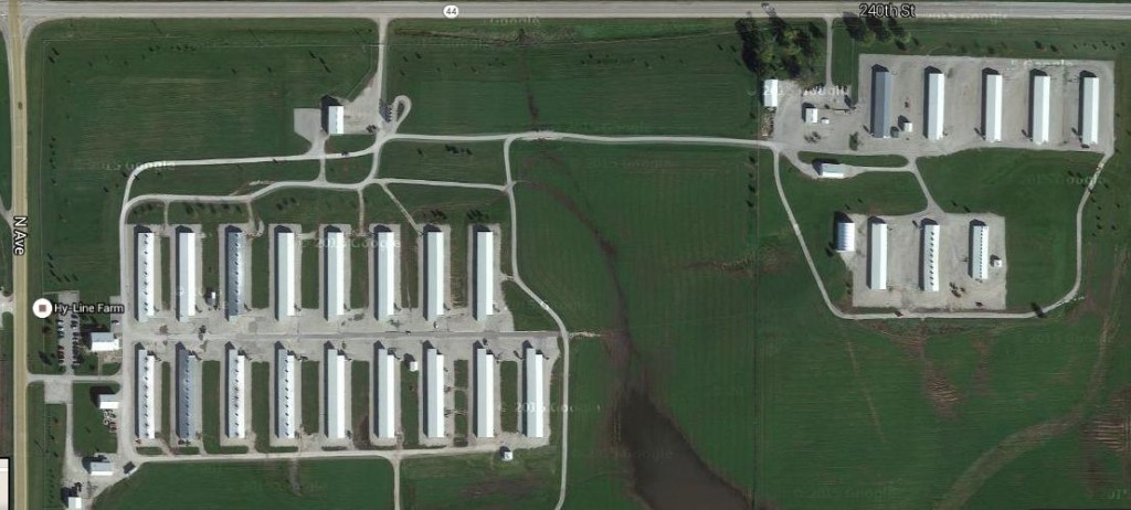 The Hy-Line International plant in Dallas Center at the intersection of U.S. Highway 169 and Iowa Highway 44 houses about 100,000 breeding chickens. The plant employs about 25 people. About 100,000 more birds are housed by Hy-Line's contract producers around Dallas County.