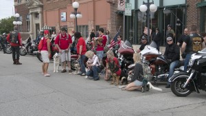 Several Puppy Jake Foundation trainers and their canine charges gather outside the Hotel Pattee Saturday. ThePerryNews photo by Mark Summerson.