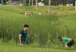 High grass in a low-lying area acts as a magnet for all sorts of roadside litter, as the Perry Green Runners discovered Sunday on this stretch along Highway 141.