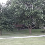 side of house