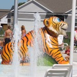 tiger and fountains
