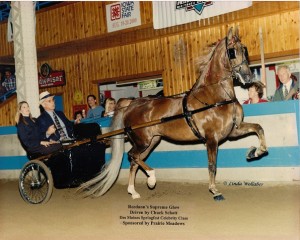 Chuck Schott was a celebrity driver at the Iowa State Fair horse show  in 20010.