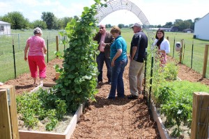 Visitors tour the garden. Kale and hot peppers grow in the first bed at left, with sweet peppers and carrots growing on the right. Green beans (left) and sugar snap peas (right) climb the trellis.