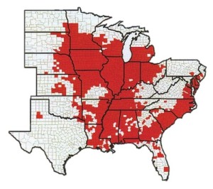 The U.S. distribution cyst nematode, in red, is very wide. 