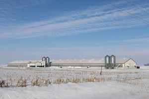 Iowa Select Farms of Iowa Falls owns the hogs in the confinement building owned by Hawker Farms of Iowa Falls on land purchased from Matthew Hinners of Carroll County. 