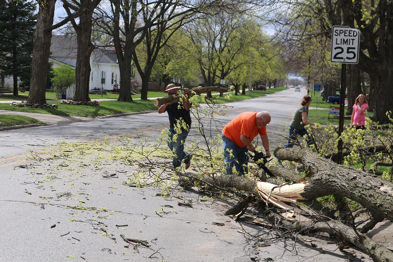 Volunteers with chain saw and willing hands quickly cut up and removed the fallen tree from Willis Avenue Saturday afternoon.