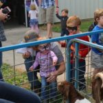 IMG_6919 goats and kids