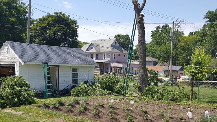 A tree-trimming mishap downed an electricity service line at a Perry home Saturday. There were no injuries.