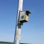 kestral box DCC