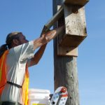 kestral box mike