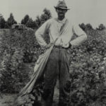 8 walker evans, let us now praise famous men, tenant farmer in cotton field