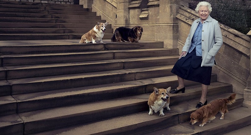 Queen Elizabeth II, the British royal monarch, likes corgis and dachshunds. 