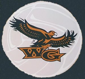 WG VB camp ball logo colored