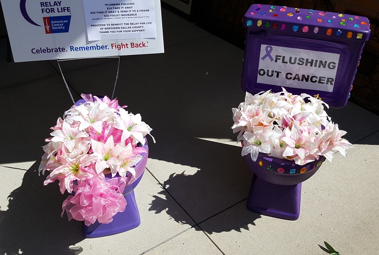 An empurpled and jewel-encrusted commode, accommodated to local landscaping, is in the future for some northern Dallas County residents in the Flushing Out Cancer program of the Relay for Life of Northern Dallas County. 