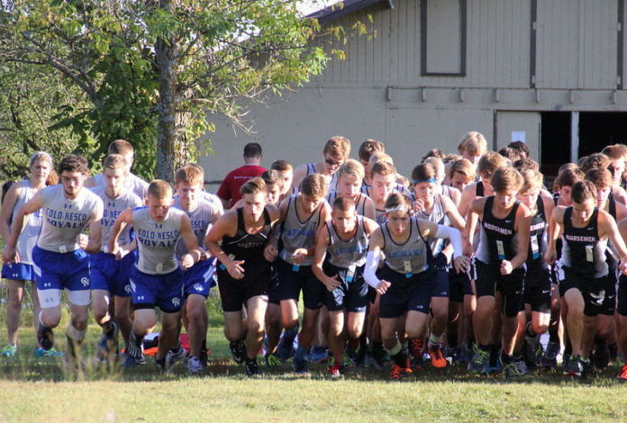pan-bxc-at-the-start