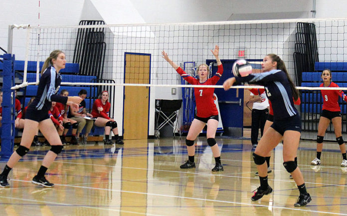 pan vb adrienne powell bump