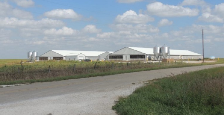 The Greene County Pigs LLC CAFO is located on County Road E-57 just west of Highway 4.