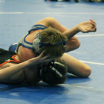 pry-wrs-strough-pin