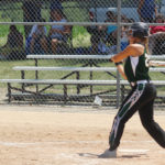 wg soft smeltzer swings