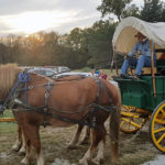 st pats harvest mass horse wagon