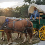 st pats harvest wagon ride