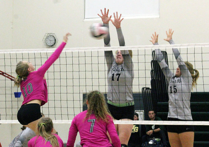 wg vb anna tague kill