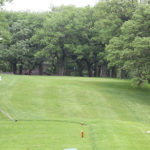 wg gg dehoet par 3 tee