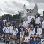 pry vb team by bird
