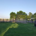 yale saddle club
