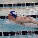 paws andrew dowd 100 fly