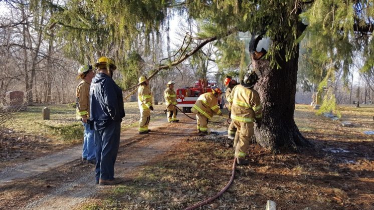 Pine tree mysteriously catches fire in Valley View ...