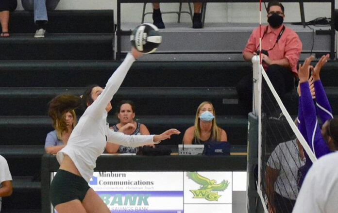 wg vb elly polich kill