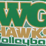 wg vb logo
