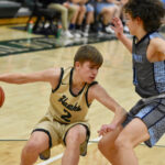 wg bbb don david dribble