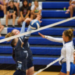 pan vb panther pair at net