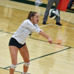 wg vb audrey simmons bump