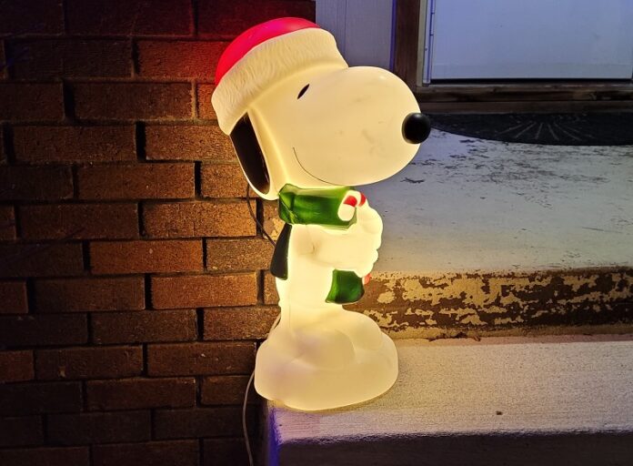 snoopy2