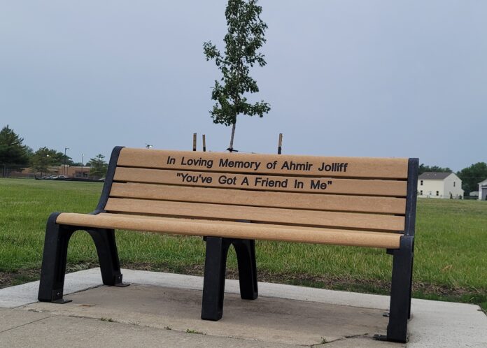 ahmir tree and bench